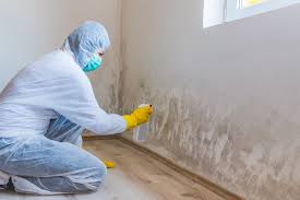 Why You Should Choose Our Mold Remediation Services in Portland, ME